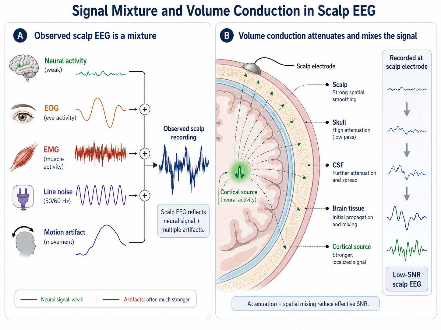 Signal mixture and volume conduction. A weak neural component is combined with EOG, EMG, line noise, and motion artifacts to form the observed scalp recording. A second panel shows attenuation and spatial mixing as the signal passes through brain tissue, cerebrospinal fluid, skull, and scalp, yielding a low-SNR waveform at the electrode.