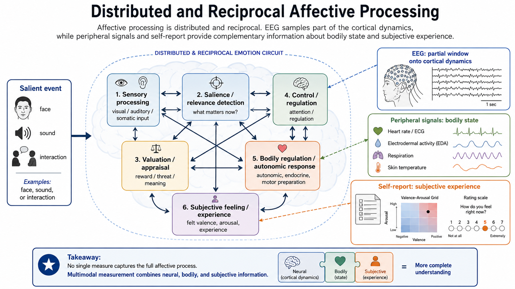 Distributed emotion circuit from a salient event through sensory, salience, valuation, control, and bodily regulation systems, with EEG, peripheral, and self-report measurements.