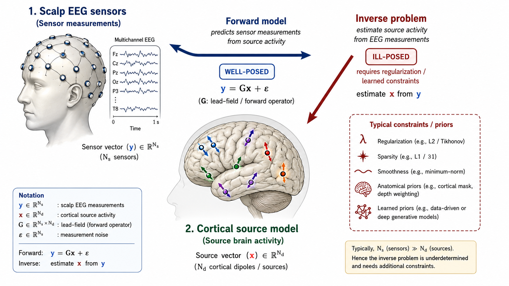 Schematic of scalp EEG sensors, a cortical source model, and the forward/inverse mapping between source activity and sensor measurements.